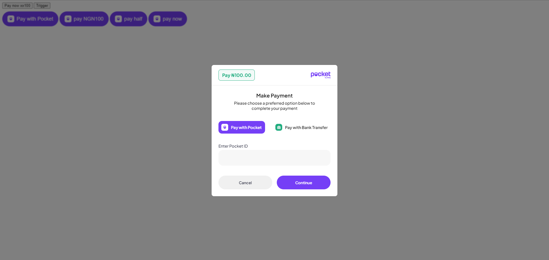 Pay with Pocket checkout initialization
